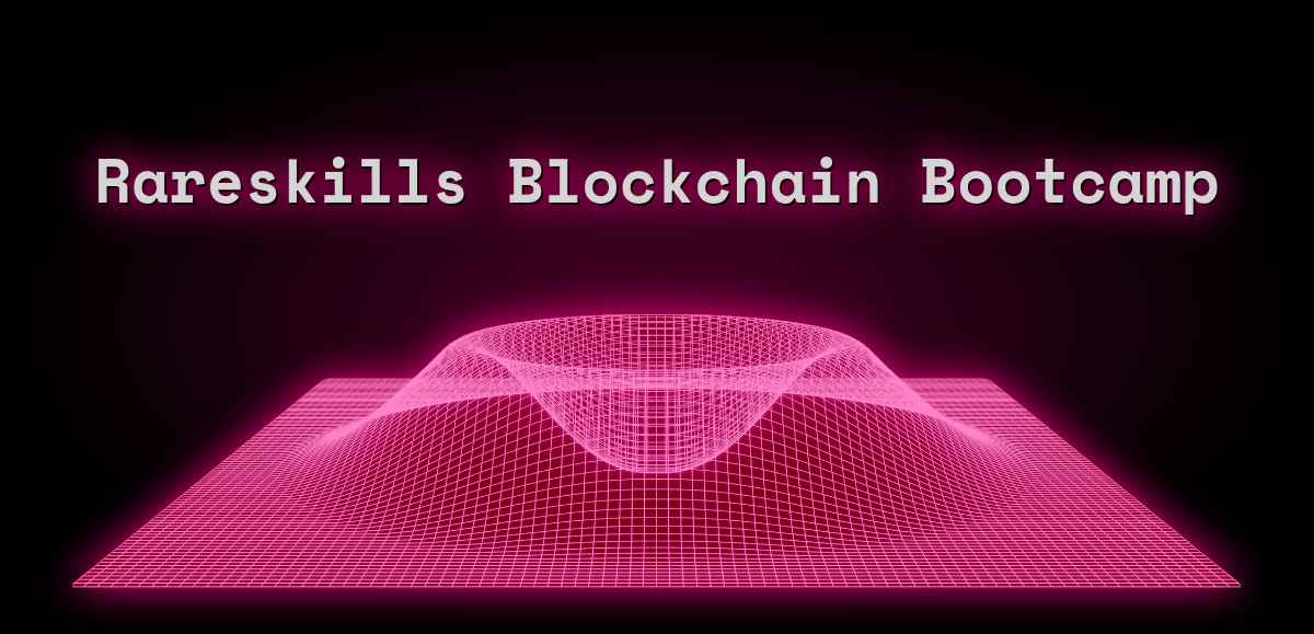 Rareskills Blockchain Bootcamp