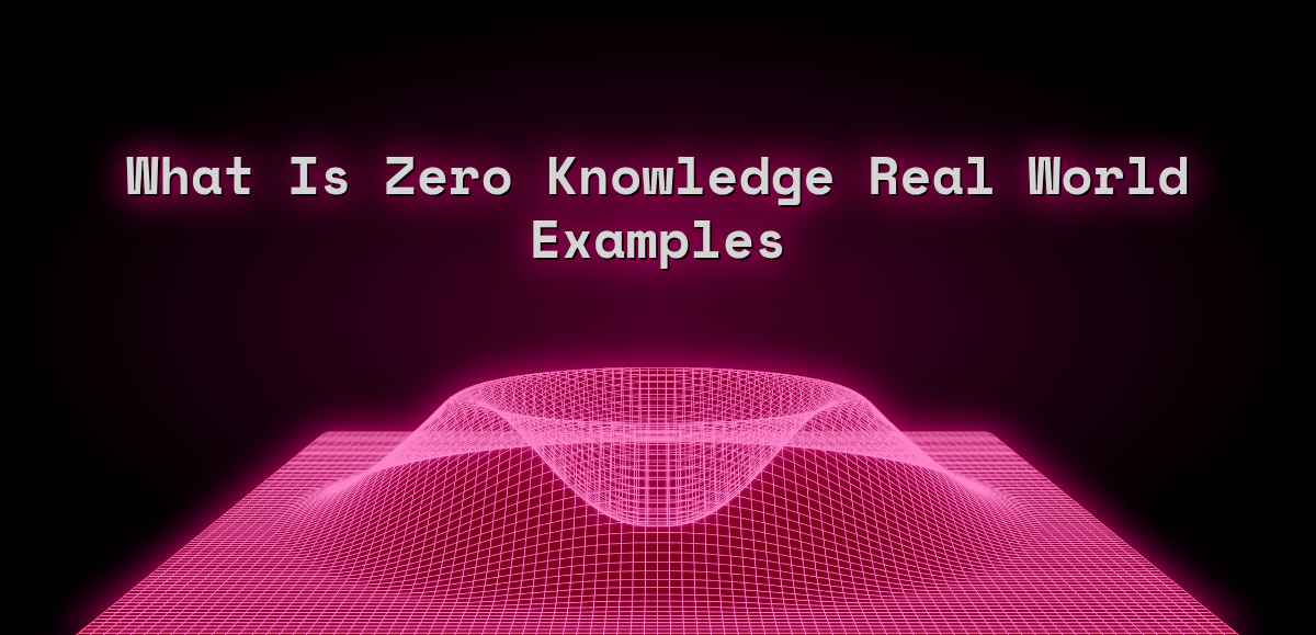 What Is Zero Knowledge